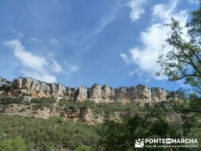 Cañones y nacimento del Ebro - Monte Hijedo;rutas buitrago de lozoya;micologia madrid